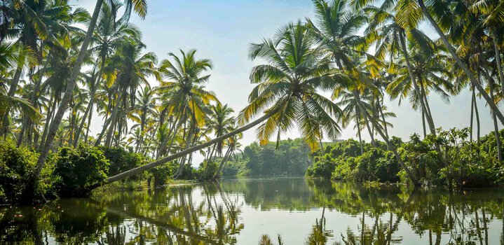 How to Reach Poovar - Road, Rail, and Air Routes for an Enchanting Getaway