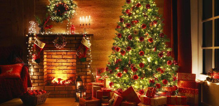 Everything You Want to Know About Christmas Tree - Club Mahindra