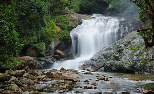 Best Time and Season to Visit Munnar - Detailed Travel Guide