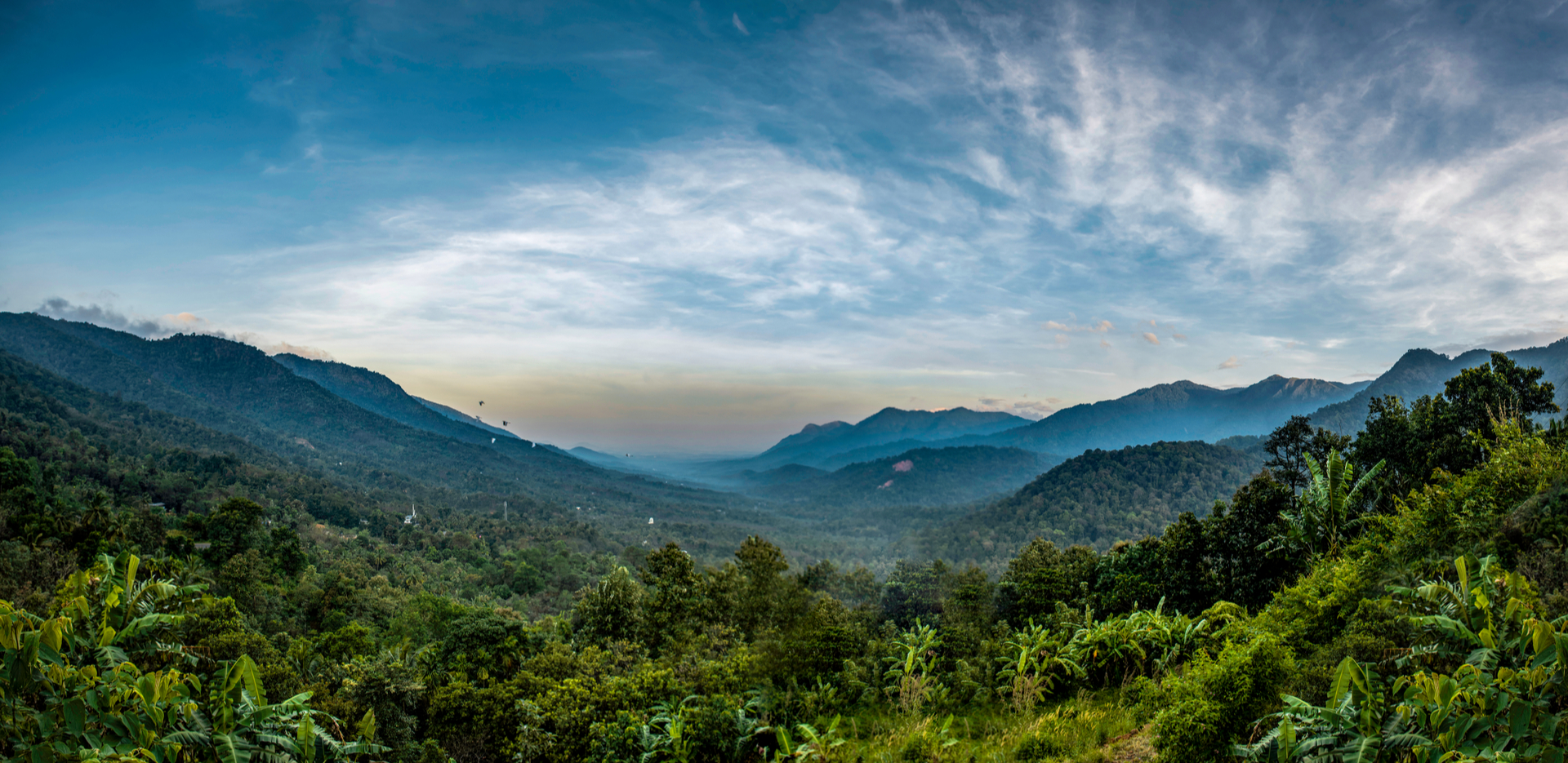 wayanad for tourism