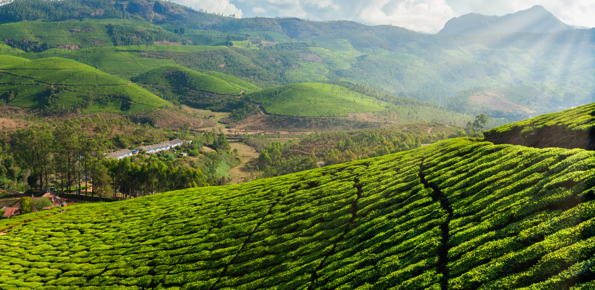 Munnar is a lovely hill station located in Kerala’s Western Ghats ...