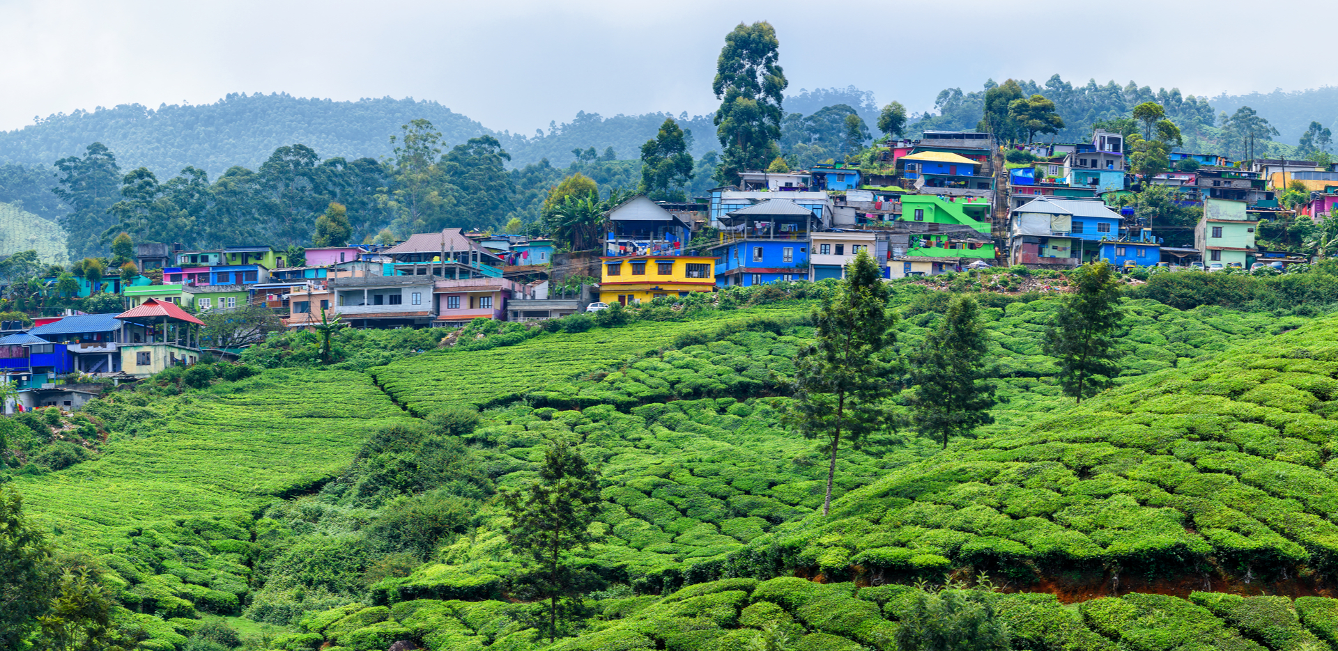 places to visit near club mahindra munnar