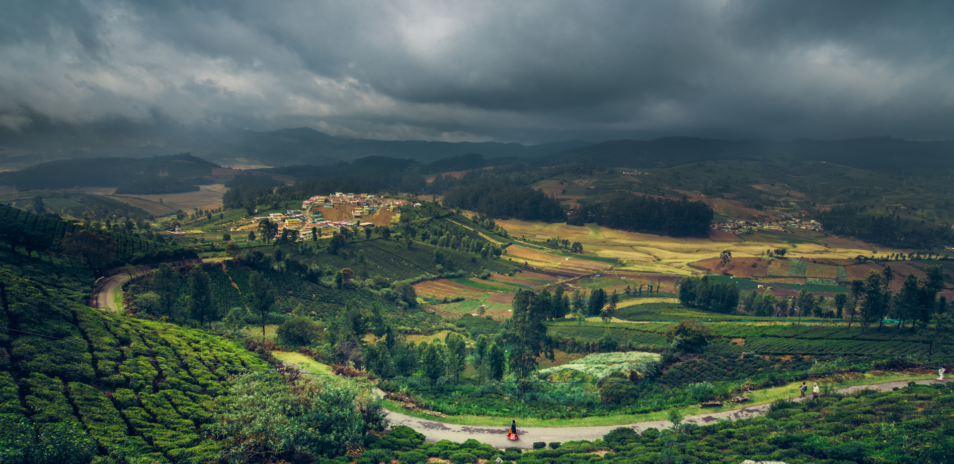 On your next holiday, indulge in the misty aroma of coffee plantations ...