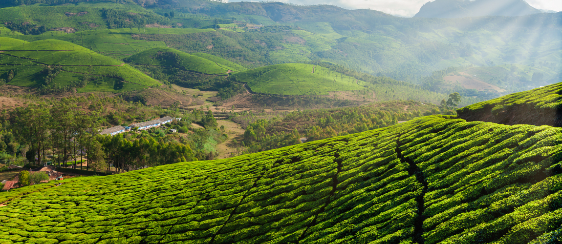 Best Time To Visit Ooty with Family - Weather, Season & Climate