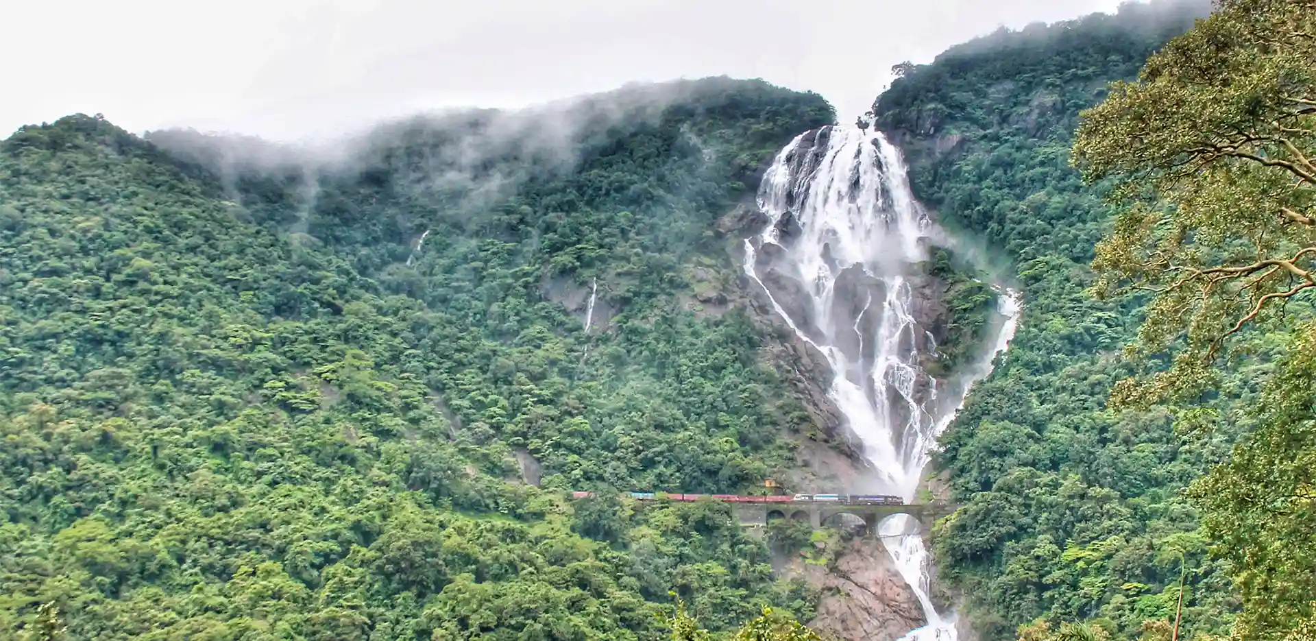Dudhsagar Waterfall in Goa: Monsoon Guide for Nature Enthusiasts