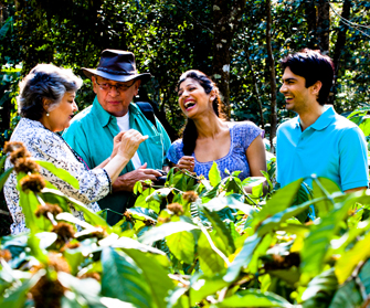 thekkady coffee plantation