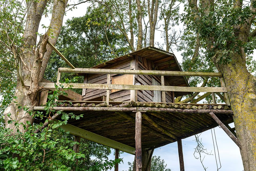 Stay in a Tree Log Huts